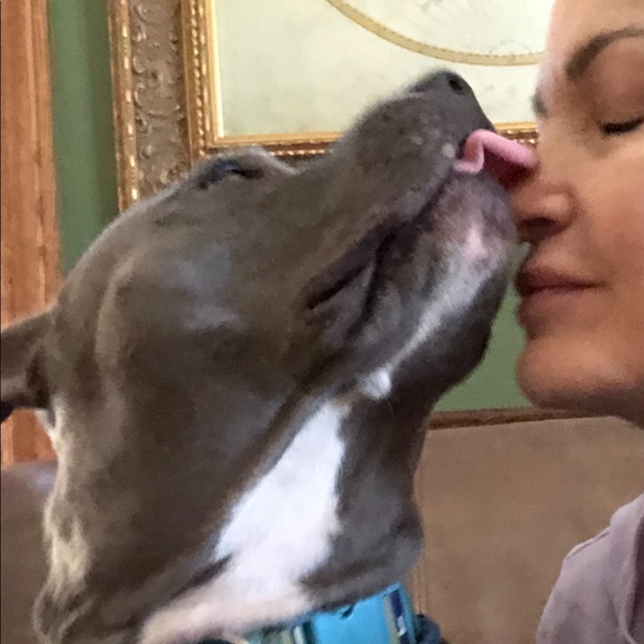 Isabella is being adopted ♥️ - Picture 7 of 8